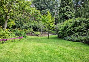 Optimiser l'expérience du jardin à Saulcy-sur-Meurthe